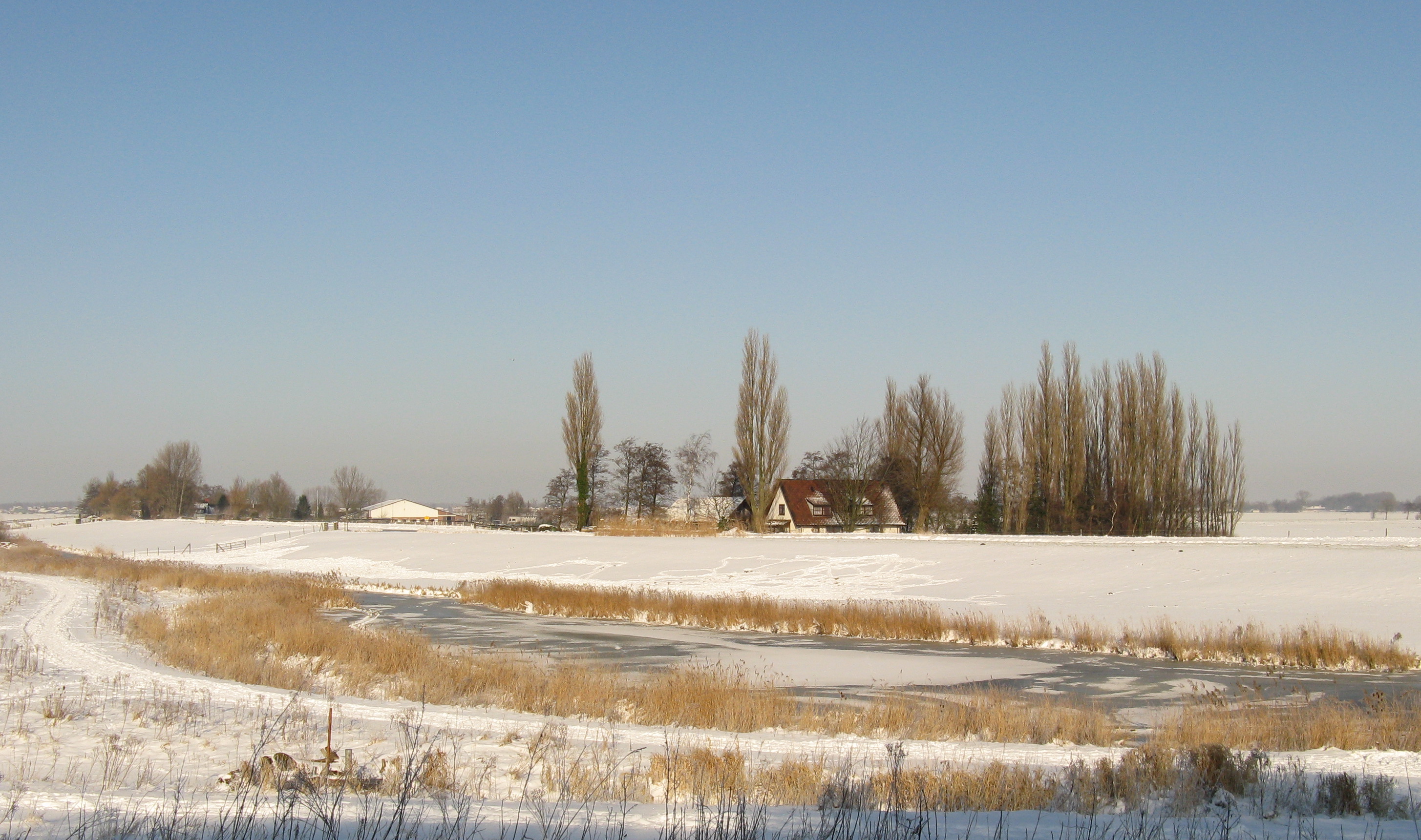 Blik op de Meerpolder