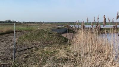 Gruttolandje in het Buytenpark
